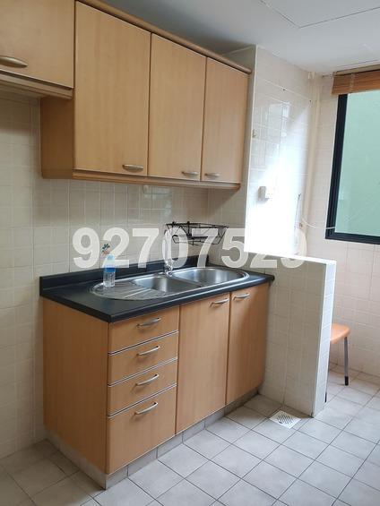 Simei Green Condominium (D18), Condominium #171036552
